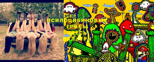 гидра Дмитриев